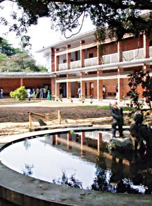 Art Institute Dhaka