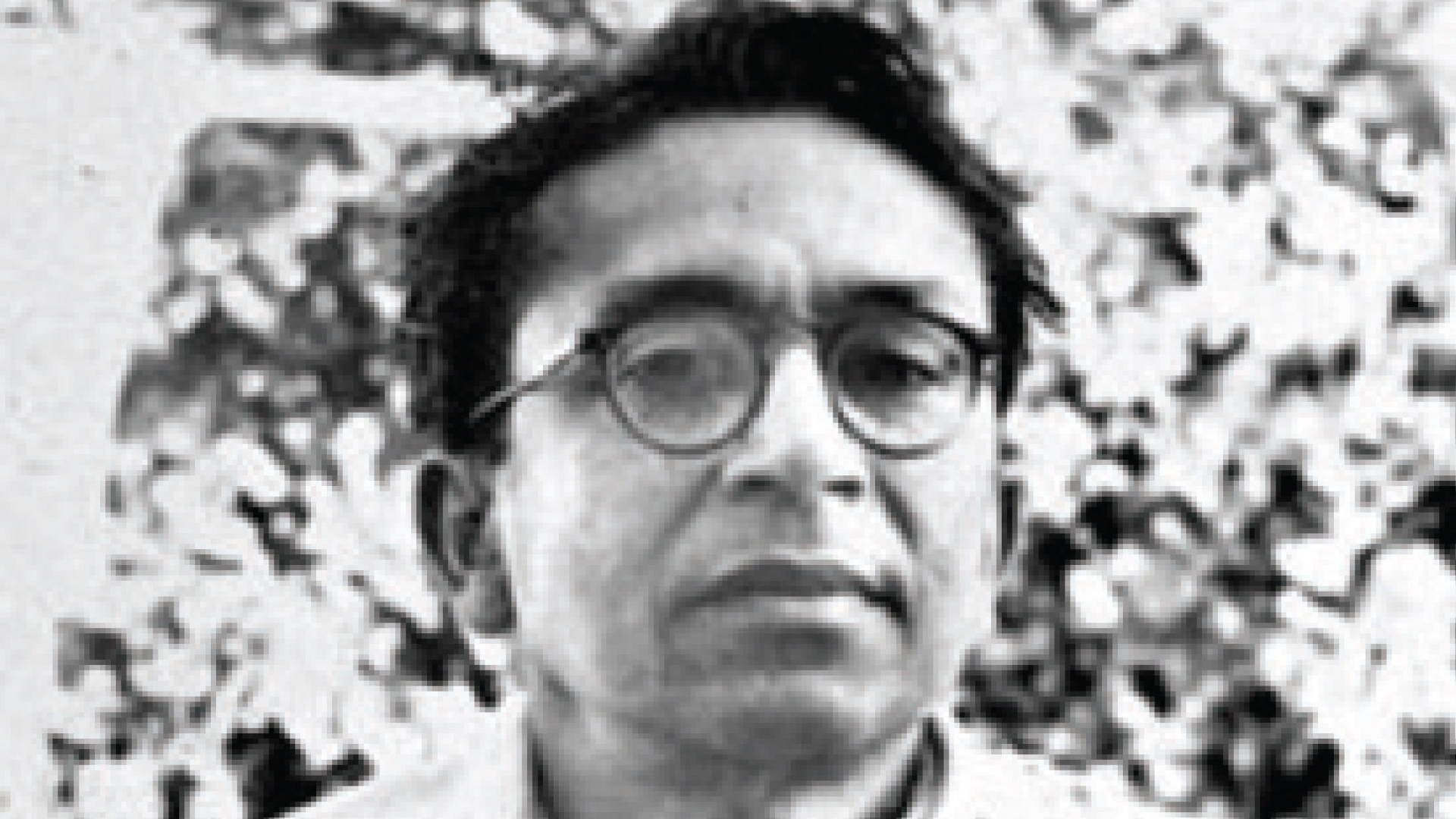 সতীনাথ ভাদুড়ী : খুঁজে ফেরা