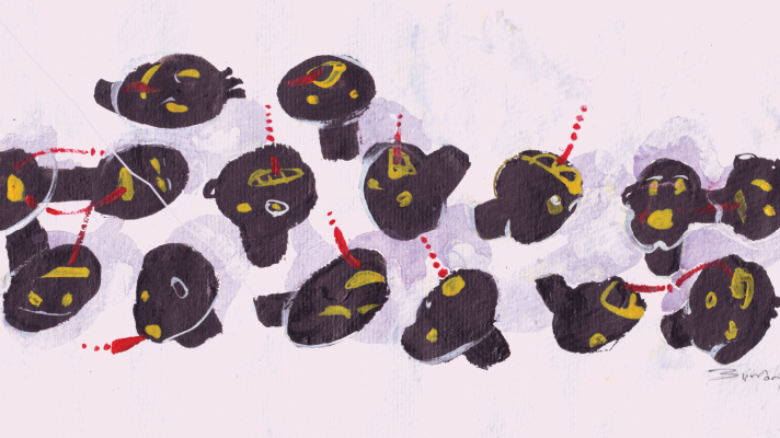 মেহের জানের মা