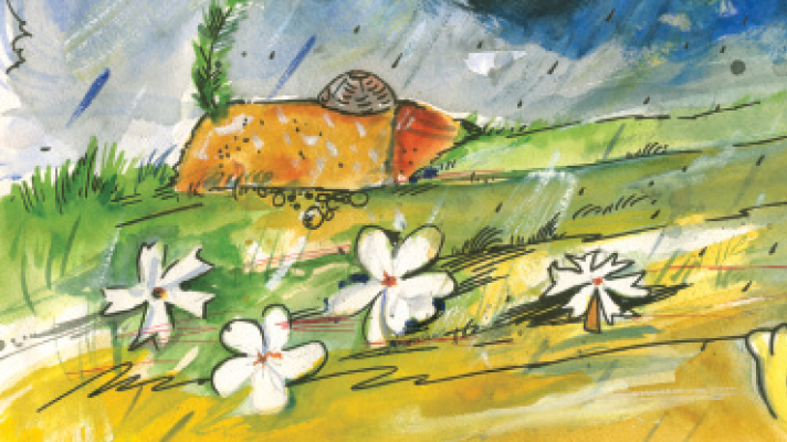 পাতার আওয়াজ এক জীবনধ্বনি